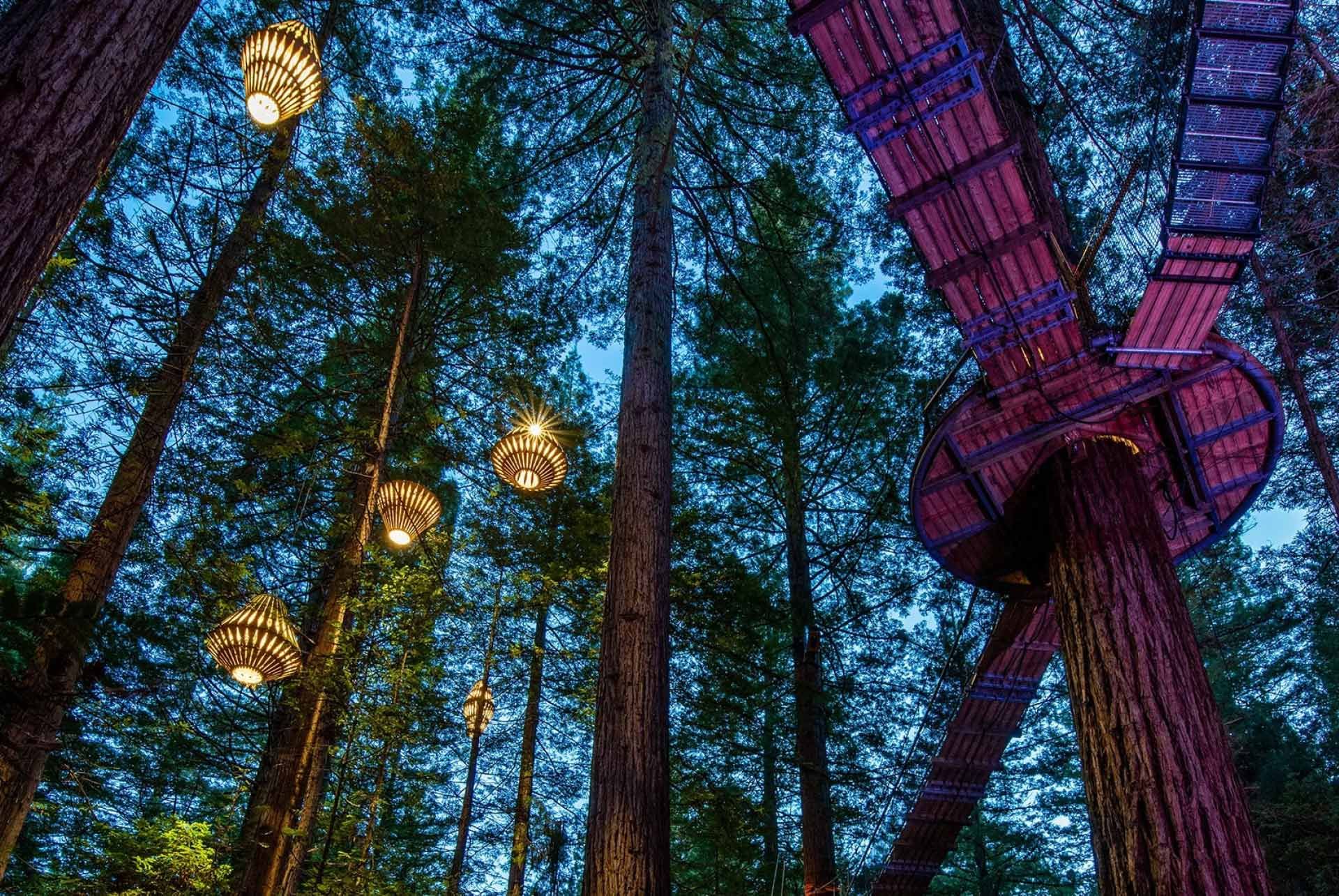 Redwoods Treewalk