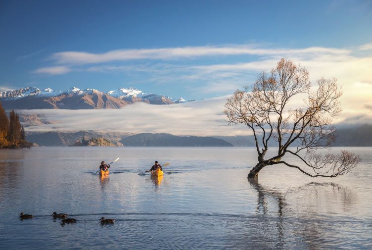 Queenstown to Franz Josef